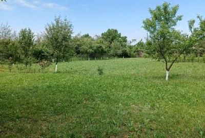 Vand 3413 mp teren intravilan - 8