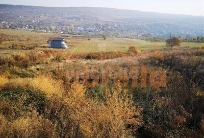 De vanzare urgent teren intravilan Cluj-Napoca 9.555m², str. Odobesti - 4