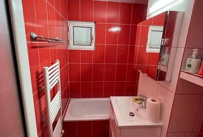 Inchiriem apartament cu 3 camere in centrul orasului, pret 500 euro - 19