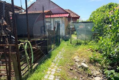 Teren 650 mp,  cu casa modesta, zona Blv Nicolae Romanescu - 5