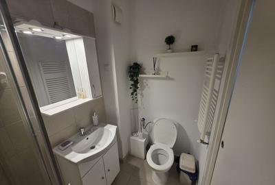 Garsoniera  Timișoara 58 Apartments | Parter | Centrala proprie | Pet Friendly - 6