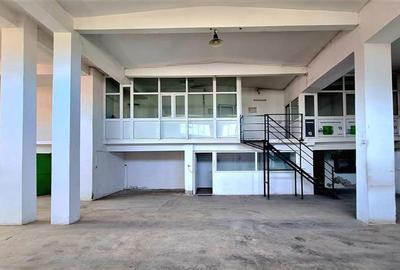 Spațiu industrial, de 320 mp, în Lipovei