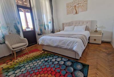 Apartament de inchiriat in vila et 2, Parc Carol, Unirii-Tineretului - 14