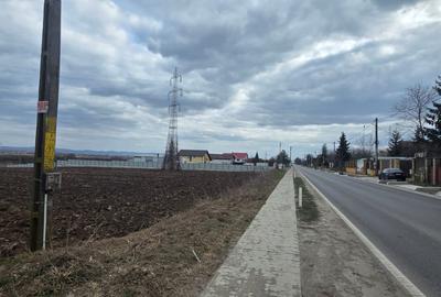 Teren intravilan 6.200 mp –Hemeiuș - 4