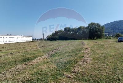 Teren intravilan de vânzare – 3.700 mp –  Brasov / Strada Cucului - 3