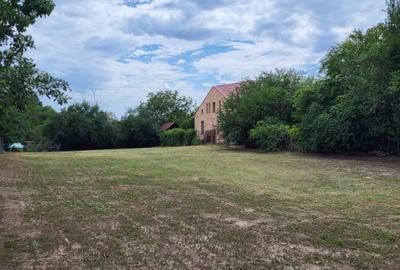 Casă individuală cu 7 camere în Snagov