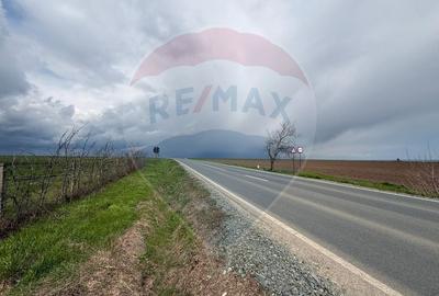 Teren extravilan Săcele ideal pentru silozuri, fermă sau investiție - 2