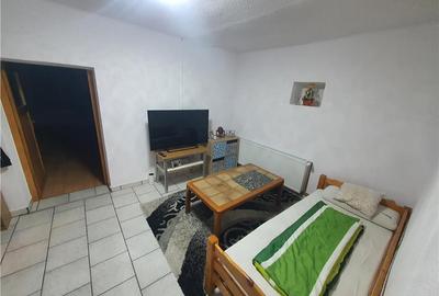 Casa saseasca pe un singur nivel, cu 2.021mp teren in Slimnic - 18