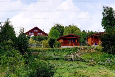 RATE Pensiune 12 cam Superba*** malul Lac Mocearu piscina ,16277mp - 9