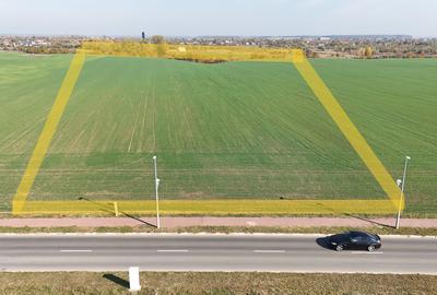 Teren pentru proiect de case in Buftea, cu deschidere la lacul Buciumeni - 1