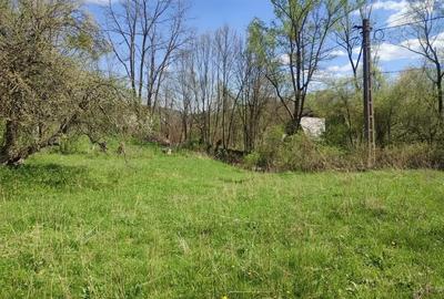 TEREN + AUTORIZATIE DE CONSTRUCTIE | PRAHOVA| PROVITA DE SUS| BREAZA - 2