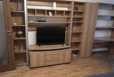 Garsonieră modernă de închiriat în zona Veteranilor-Lujerului - 9