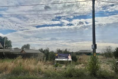 Teren cu proiect de casa pe parter langa Bucuresti - 5