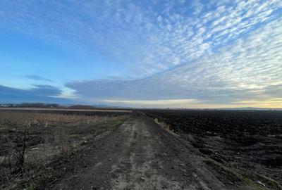 Teren agricol extravilan de 8200 mp, în Periferie