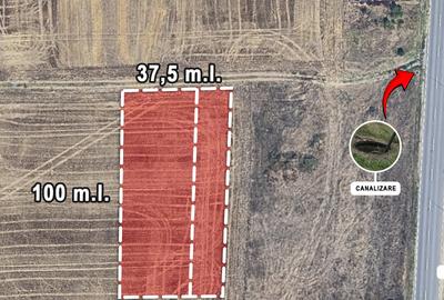 Teren Construcții intravilan de 3750 mp, în Brănești