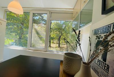 Apartament 2 camere, Baba Novac, 600m fata de metrou Dristor2, parc IOR la 8 min - 11