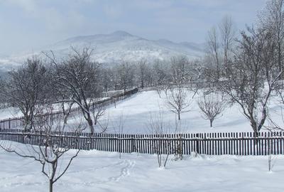 CASĂ DE VACANȚĂ ÎN COMARNIC - 9