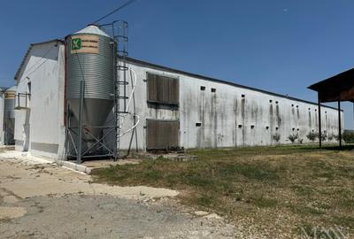 Hala | Spatiu depozitare, productie de inchiriat | Les, Bihor - 3