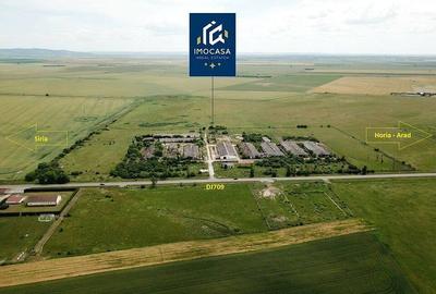 Hale depozitare, grajd, Curte betonata, Horia Jud. Arad - 1