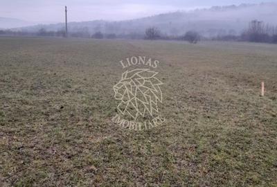 Teren 1698 mp-ideal investitie-Dumitrita, 15 km de Bistrita - 2