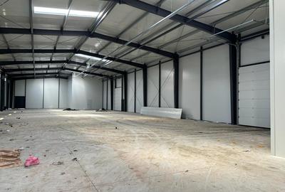 Hale de inchiriat Business Park Recon Mogosoaia 2 - 6