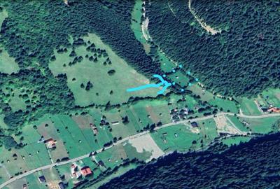 Neamt - Borca, teren 3386mp, langa padure - 4