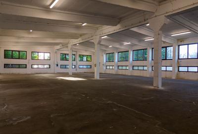 Hală industrială cu multiple destinații în Nădlac - 35
