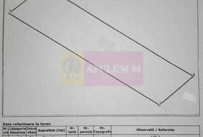 VANZARE TEREN 3100 MP - SAT ROSIORI (IL) - 22