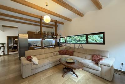 Casă individuală 3 camere, 100 mp, curte și parcare – Făget - 2