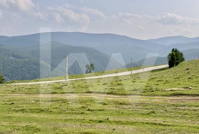 Teren 1003 mp în Păltiniș | Priveliște panoramică către munți - 6