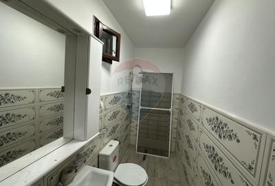 Spațiu comercial de INCHIRIAT in Aradul Nou - 7