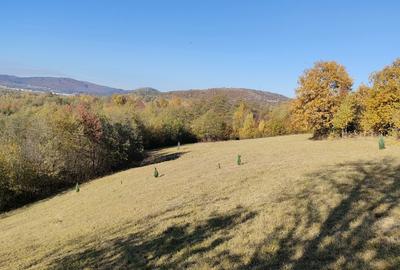 Teren intravilan de 6800 mp, în Tohănița