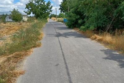 Vând teren intravilan – Crivăț, Călărași - 12