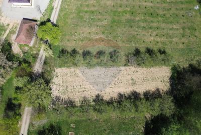 Teren de vanzare langa padure Copalnic Manastur - 6