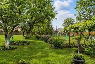 Casa traditionala, cu 709 mp teren intravilan zona apreciabila, Sfantu Gheorghe - 6