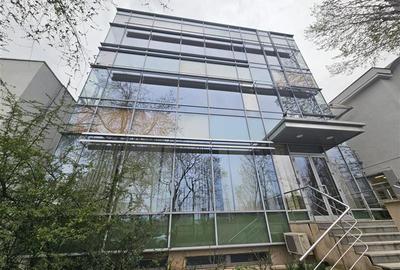 Inchiriere spatii birouri - Domenii de la 166 mp - 1