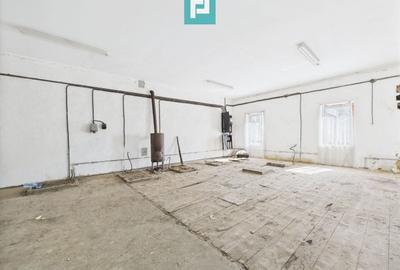 Clădire cu 5 camere cu teren și hală în Cenad - 10