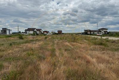 Teren 10.000 mp - Str. Octavian Goga, Craiovei! - 1