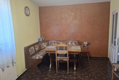 Proprietate mixtă de vânzare în Nădlac – Casă modernă + hală/grajd + teren mare - 11