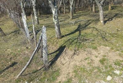 Vind teren intravilan in com .Corbi  sat Poinarei  jud.Arges, - 2