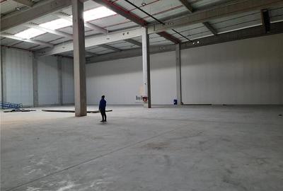 Spatiu Industrial - 5500 mp - Logistica - Productie - Depozitare - 7