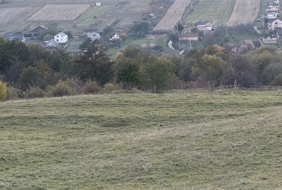 Teren extravilan de vanzare in Salicea 916mp+84mp drum necesită PUZ - 10