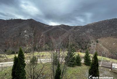 Oportunitate unica! 5ha + 2 cabane de vacanta in Valea Ierii - 16