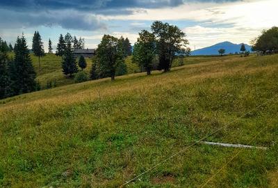 Teren intravilan 25 de arii, Piatra -Fantanele,1200€ pe arie - 5