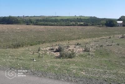 Terenuri 3699 mp, oras Lipova - 1