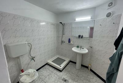 Casa Matei Voievod - Locuinta + Spatiu Comercial - 14