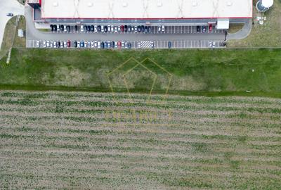 COM 0% Parcele industriale pentru hale, servicii | Sanandrei - 3