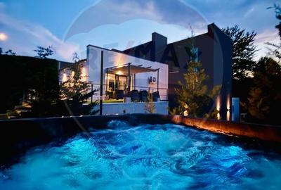 Vanzare Vila la munte - 14