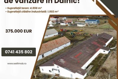 Clădire industrială de vânzare în Dalnic! - 1