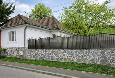 Casa cu 650 mp teren,zona linistita,curte verde,potential extindere,Gheorghe Doj - 10